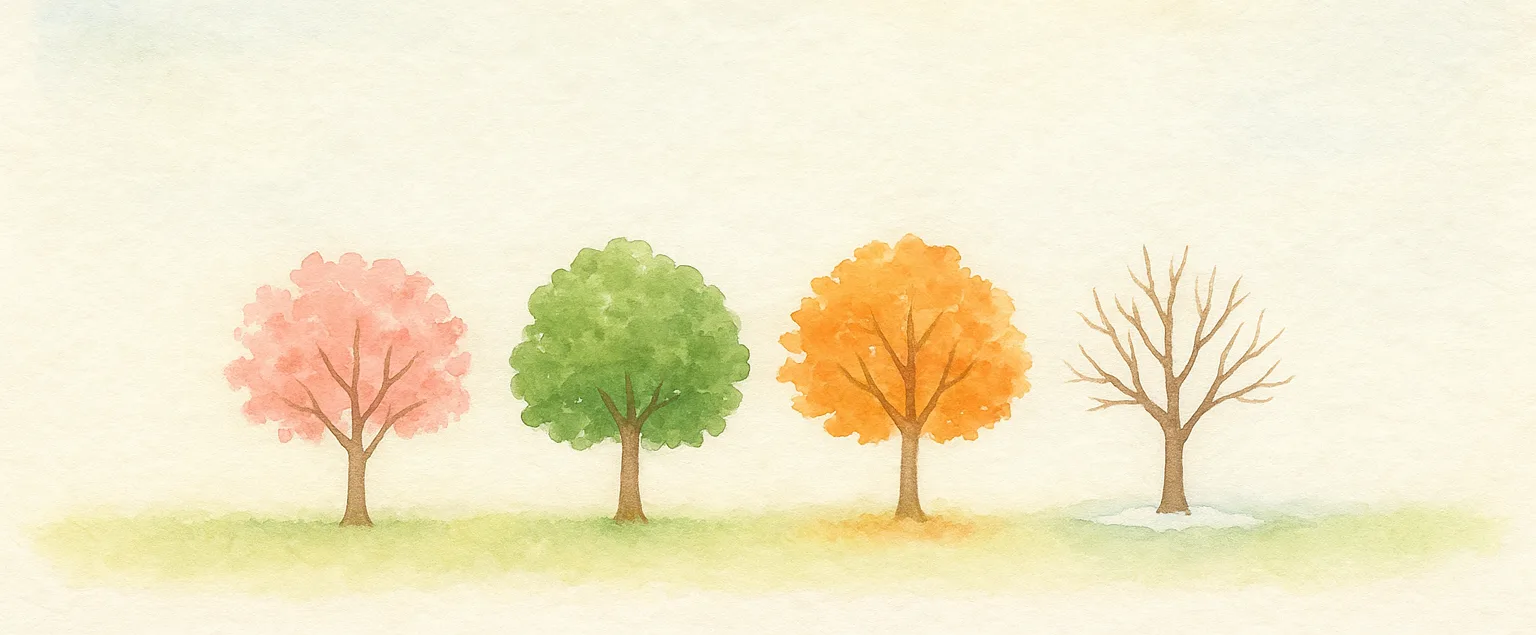 The same tree shown in four seasons: spring blossoms, green summer, orange autumn leaves, and bare snowy winter