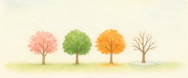 Weather and seasons discovery sheet