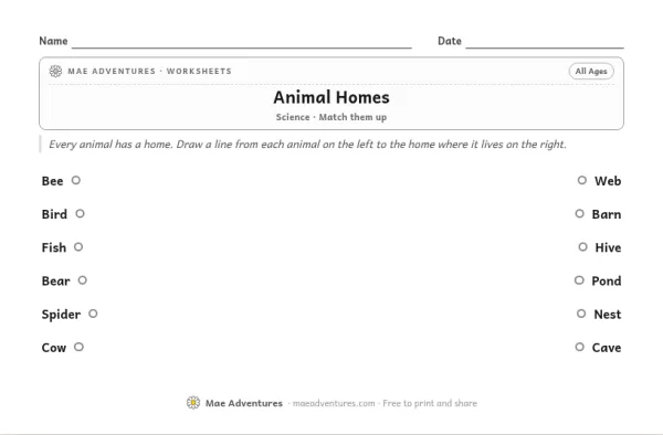 Animal homes matching thumbnail